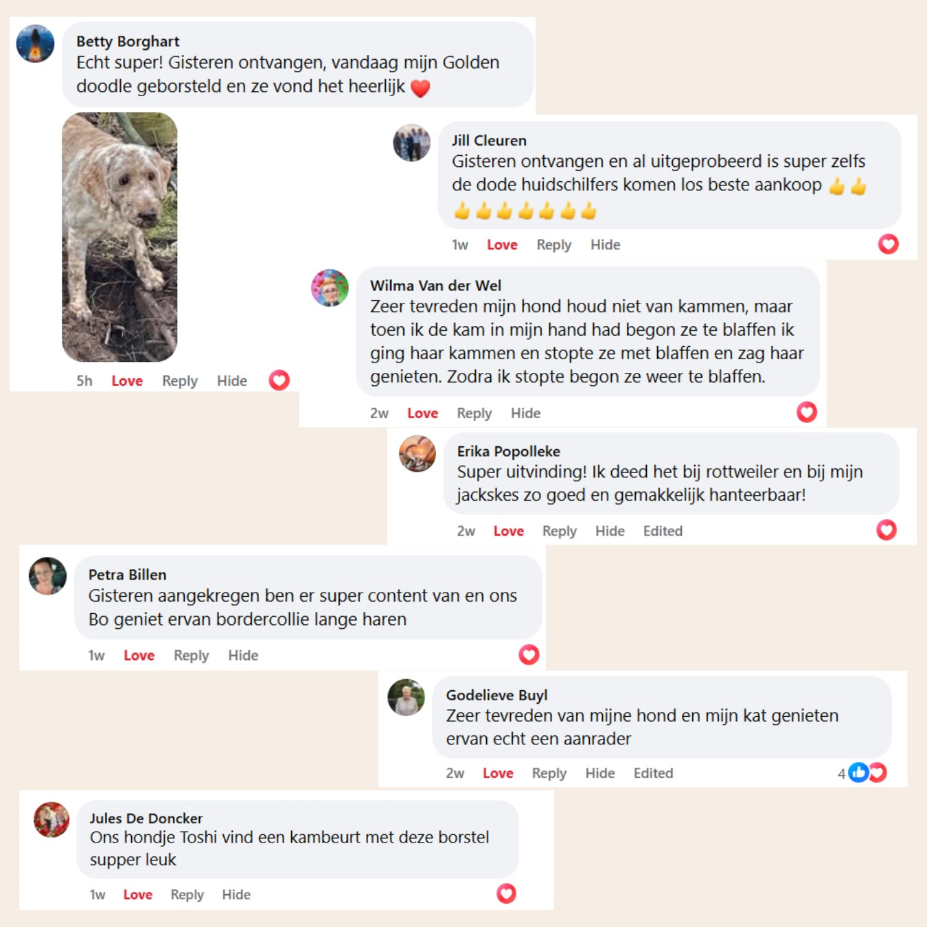 PetSteam pro | Vachtverzorgings Borstel