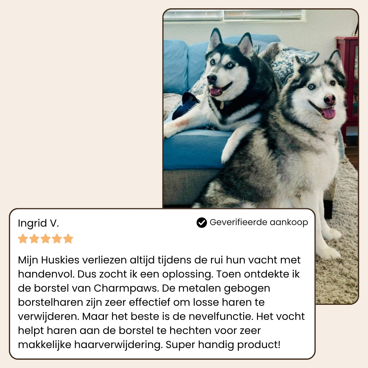 PetSteam pro | Vachtverzorgings Borstel