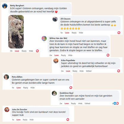 PetSteam pro | Vachtverzorgings Borstel
