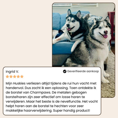PetSteam pro | Vachtverzorgings Borstel